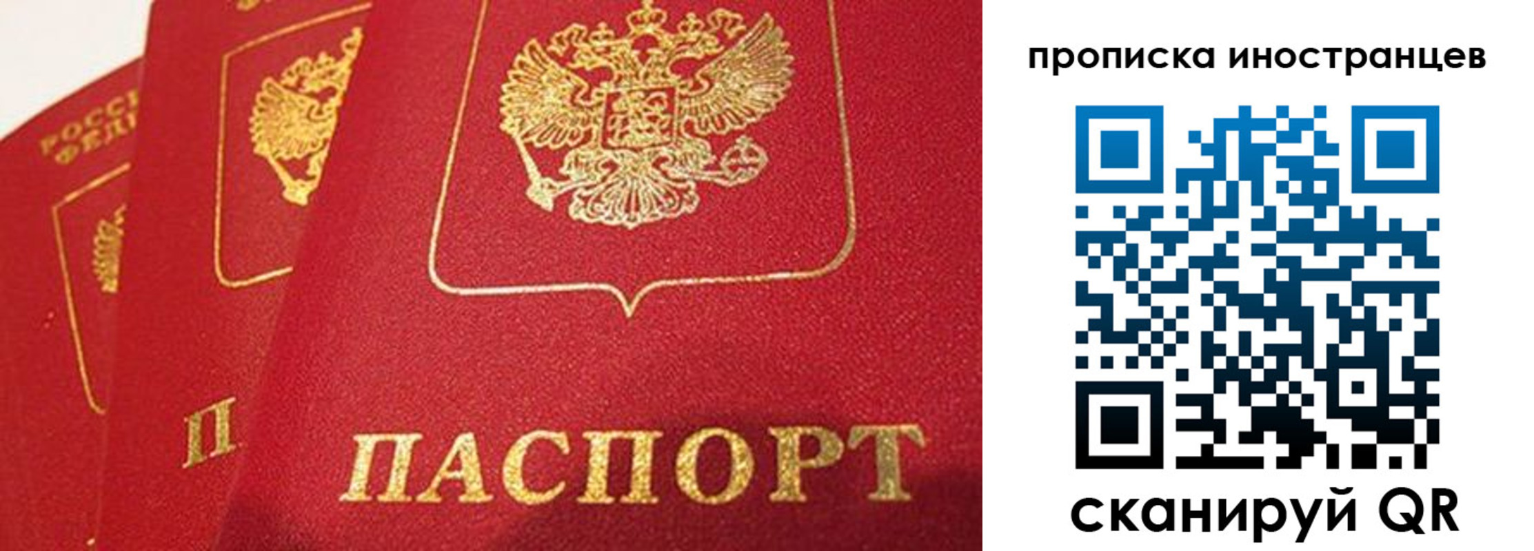 прописка для школы в Фролово